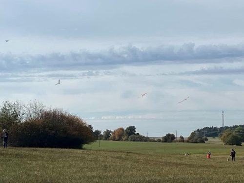 IMG-20261018-WA0035